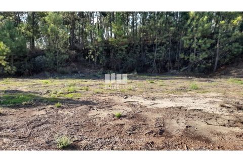 Terra a Amarante, Porto, Amarante - € 47.500 | Ref: MC09595 - foto 9