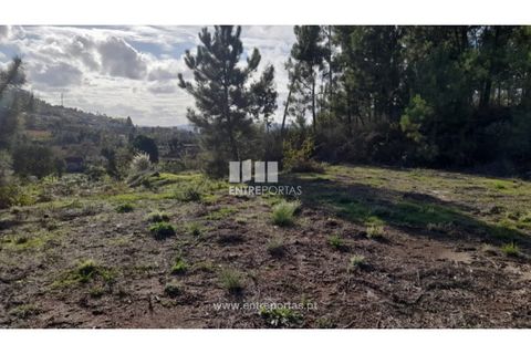 Terra a Amarante, Porto, Amarante - € 47.500 | Ref: MC09595 - foto 10
