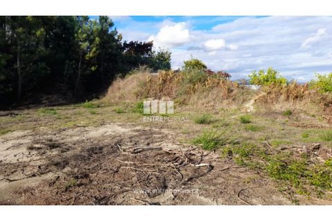 Terra a Amarante, Porto, Amarante - € 47.500 | Ref: MC09595 - foto 11