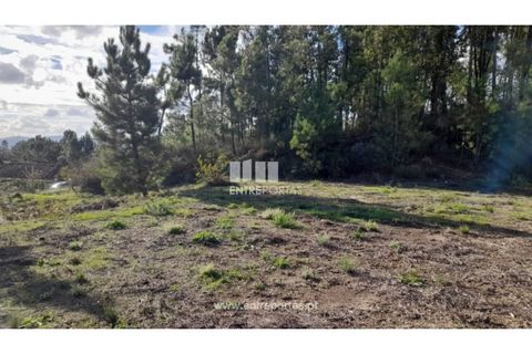 Terra a Amarante, Porto, Amarante - € 47.500 | Ref: MC09595 - foto 12