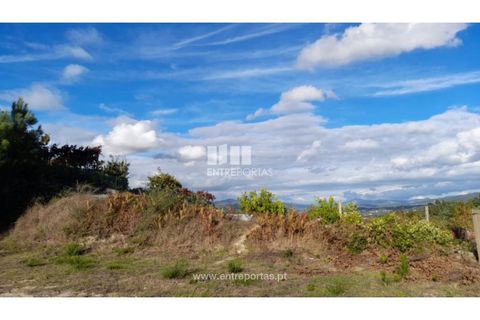 Terra a Amarante, Porto, Amarante - € 47.500 | Ref: MC09595 - foto 13