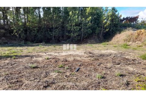 Terra a Amarante, Porto, Amarante - € 47.500 | Ref: MC09595 - foto 14