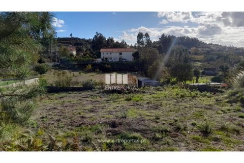 Terra a Amarante, Porto, Amarante - € 47.500 | Ref: MC09595 - foto 15