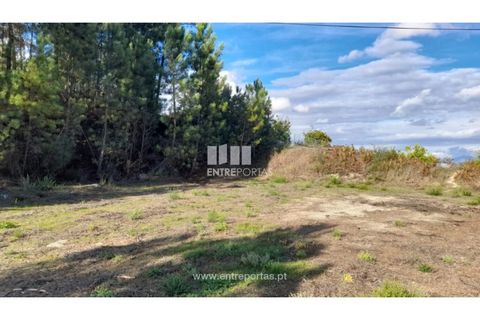 Terra a Amarante, Porto, Amarante - € 47.500 | Ref: MC09595 - foto 16