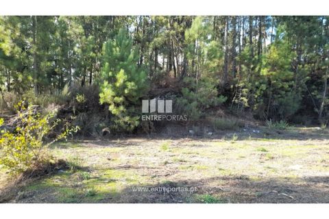 Terra a Amarante, Porto, Amarante - € 47.500 | Ref: MC09595 - foto 17
