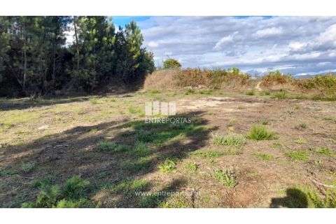 Terra a Amarante, Porto, Amarante - € 47.500 | Ref: MC09595 - foto 18