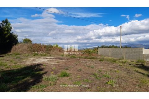 Terra a Amarante, Porto, Amarante - € 47.500 | Ref: MC09595 - foto 19