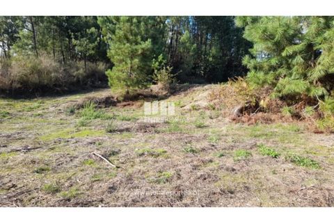 Terra a Amarante, Porto, Amarante - € 47.500 | Ref: MC09595 - foto 20