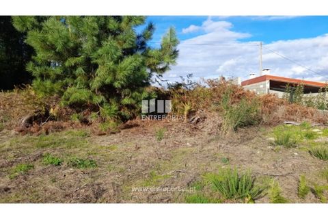 Terra a Amarante, Porto, Amarante - € 47.500 | Ref: MC09595 - foto 21