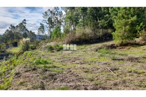 Terra a Amarante, Porto, Amarante - € 47.500 | Ref: MC09595 - foto 22