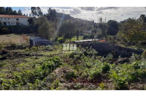 Terra a Amarante, Porto, Amarante - € 47.500 | Ref: MC09595 - foto 23