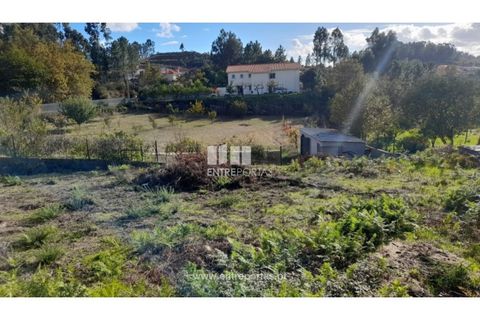 Terra a Amarante, Porto, Amarante - € 47.500 | Ref: MC09595 - foto 24