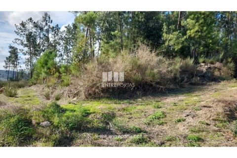 Terra a Amarante, Porto, Amarante - € 47.500 | Ref: MC09595 - foto 25