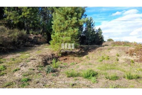 Terra a Amarante, Porto, Amarante - € 47.500 | Ref: MC09595 - foto 26