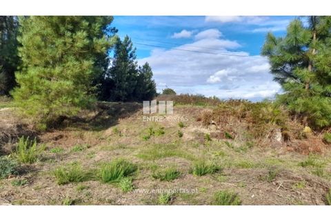 Terra a Amarante, Porto, Amarante - € 47.500 | Ref: MC09595 - foto 27