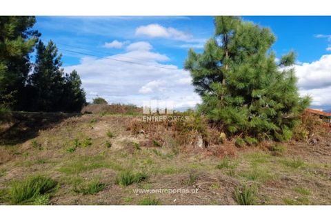 Terra a Amarante, Porto, Amarante - € 47.500 | Ref: MC09595 - foto 28