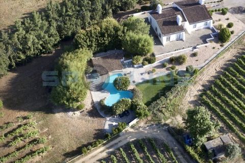 Villa a Palmela, Setubal, Palmela - € 4.950/mes | Ref: SL AG 64/2023 - foto 4
