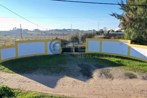 Villa a Palmela, Setubal, Palmela - € 4.950/mes | Ref: SL AG 64/2023 - foto 6