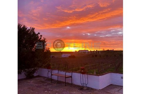 Villa a Palmela, Setubal, Palmela - € 4.950/mes | Ref: SL AG 64/2023 - foto 38