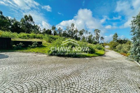 Villa i Viseu, Viseu, Viseu - € 850.000 | Ref: SMF/02568 - foto 23