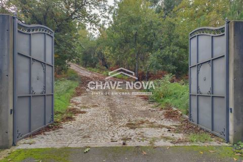 Villa i Viseu, Viseu, Viseu - € 850.000 | Ref: SMF/02568 - foto 24