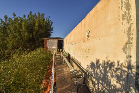 Byhus i Albatera, Alicante, Albatera - € 499.000 | Ref: 0382 - foto 11