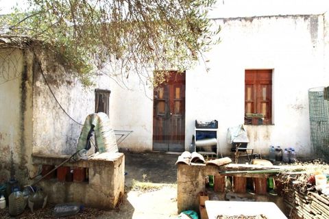 Terra a Tunes, Faro, Tunes - € 990.000 | Ref: STC2546 - foto 2