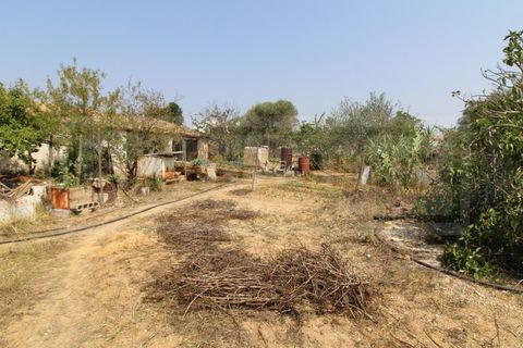 Terra a Tunes, Faro, Tunes - € 990.000 | Ref: STC2546 - foto 4