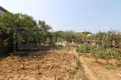 Terra a Tunes, Faro, Tunes - € 990.000 | Ref: STC2546 - foto 9