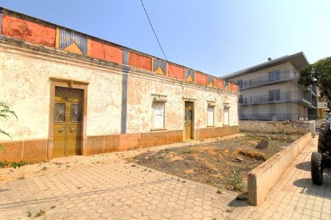 Terra a Tunes, Faro, Tunes - € 990.000 | Ref: STC2546 - foto 11