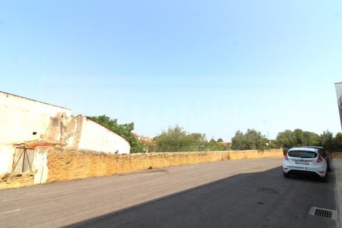 Terra a Tunes, Faro, Tunes - € 990.000 | Ref: STC2546 - foto 12