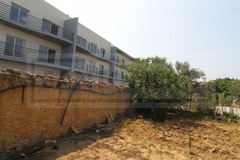 Terra a Tunes, Faro, Tunes - € 990.000 | Ref: STC2546 - foto 13
