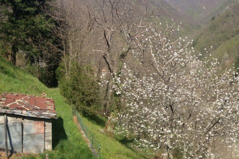Herregård i Barga, Lucca, Barga - € 99 000 | Ref: APS-510 - foto 18