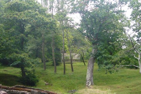 Herregård i Barga, Lucca, Barga - € 99 000 | Ref: APS-510 - foto 15