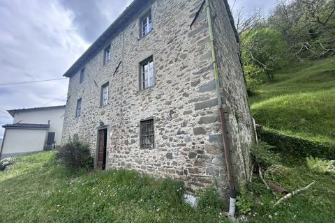 Herregård i Barga, Lucca, Barga - € 99 000 | Ref: APS-510 - foto 4