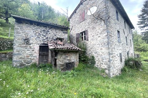Herregård i Barga, Lucca, Barga - € 99 000 | Ref: APS-510 - foto 14