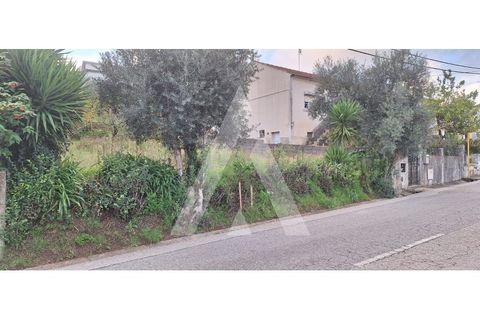 Helårsgrund i Coimbra, Coimbra, Coimbra - € 77.000 | Ref: 1121026/23CB - foto 3
