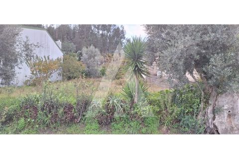 Helårsgrund i Coimbra, Coimbra, Coimbra - € 77.000 | Ref: 1121026/23CB - foto 4