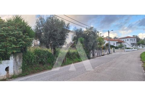 Helårsgrund i Coimbra, Coimbra, Coimbra - € 77.000 | Ref: 1121026/23CB - foto 6