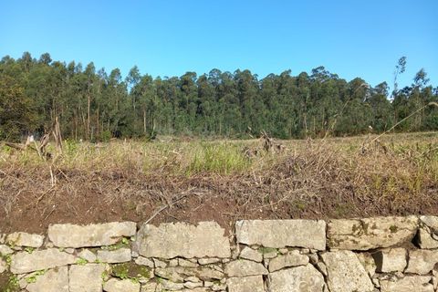 Helårsgrund i Barcelos, Braga, Barcelos - € 165.000 | Ref: 153/23 - foto 6