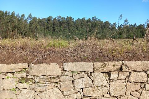 Helårsgrund i Barcelos, Braga, Barcelos - € 165.000 | Ref: 153/23 - foto 7