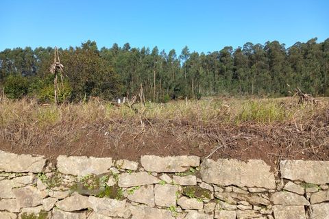 Helårsgrund i Barcelos, Braga, Barcelos - € 165.000 | Ref: 153/23 - foto 8