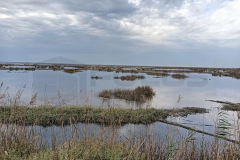Helårsgrund i Aveiro, Aveiro, Aveiro - € 250.000 | Ref: AV23/199 - foto 2