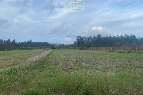 Helårsgrund i Ponte de Lima, Viana do Castelo, Ponte de Lima - € 21.000 | Ref: SÒL_1797 - foto 2