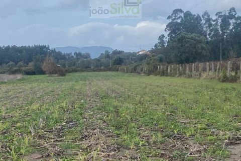 Helårsgrund i Ponte de Lima, Viana do Castelo, Ponte de Lima - € 21.000 | Ref: SÒL_1797 - foto 3