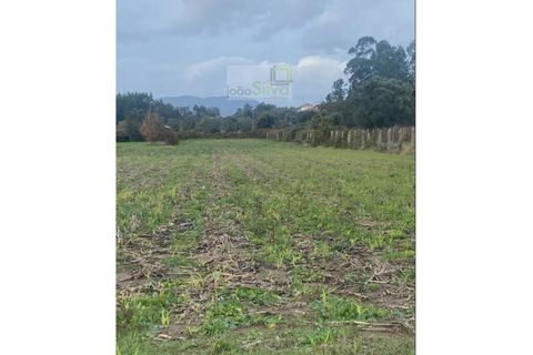 Helårsgrund i Ponte de Lima, Viana do Castelo, Ponte de Lima - € 21.000 | Ref: SÒL_1797 - foto 4