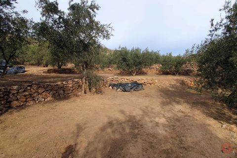 Terra a Pinar, Granada, Pinar - € 63.000 | Ref: L649 - foto 2