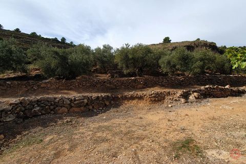Terra a Pinar, Granada, Pinar - € 63.000 | Ref: L649 - foto 5
