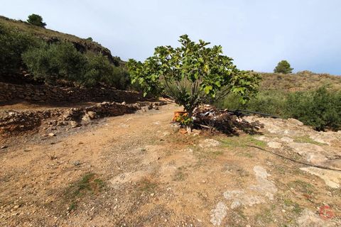 Terra a Pinar, Granada, Pinar - € 63.000 | Ref: L649 - foto 6