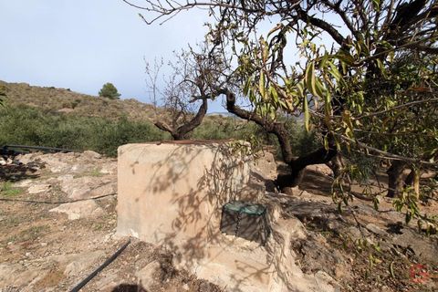 Terra a Pinar, Granada, Pinar - € 63.000 | Ref: L649 - foto 7